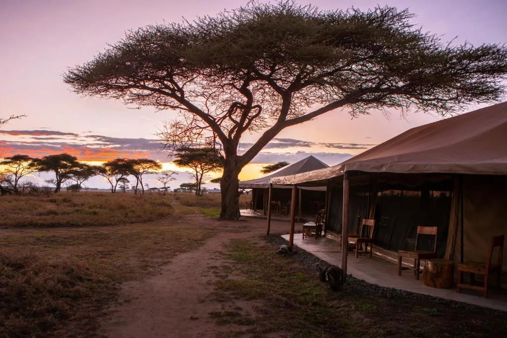 Mawe_tented_camp2