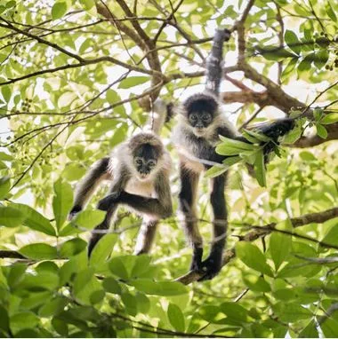 Safari grande migration & Zanzibar 2 avec noussoukitravel