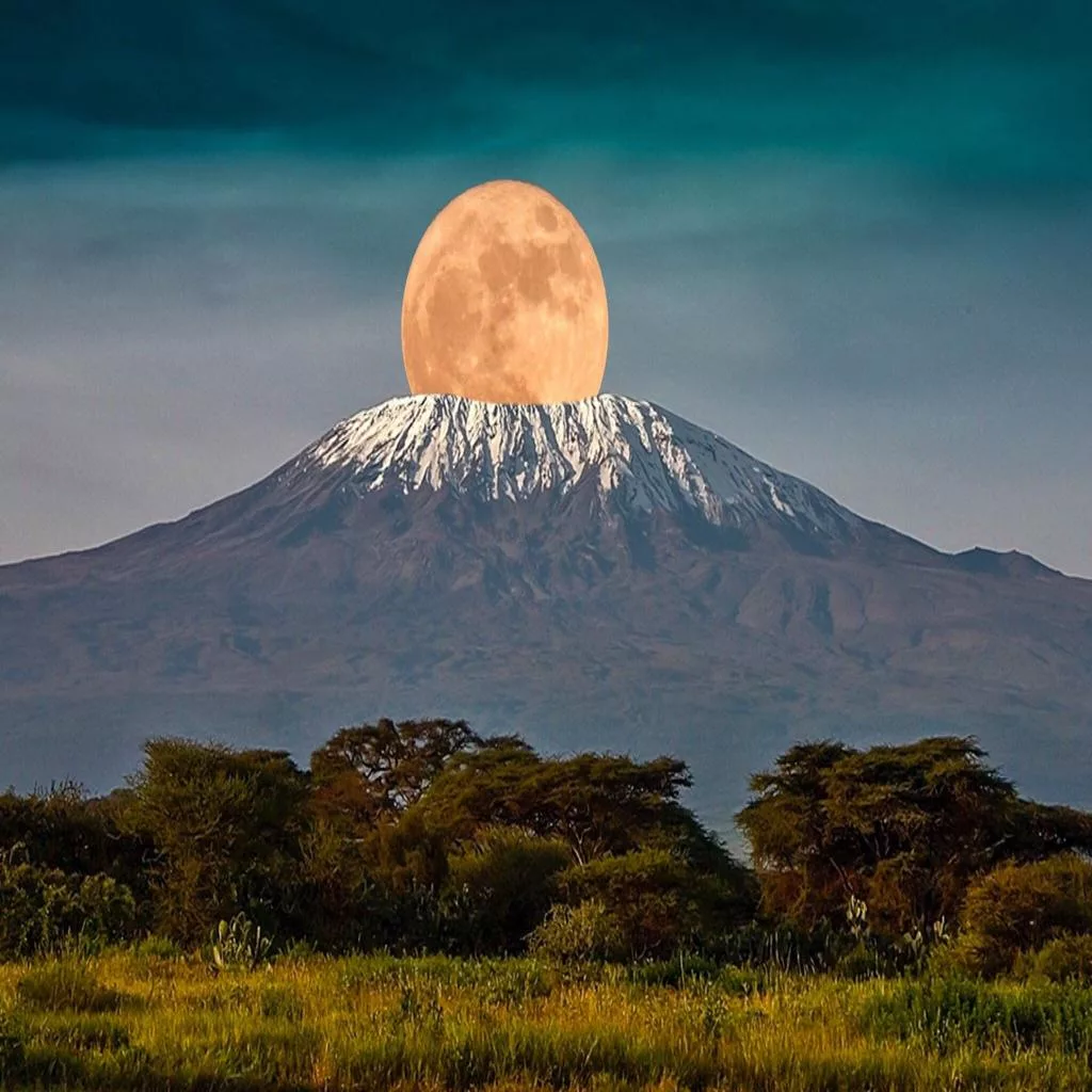 Safari classique 6 jours avec noussoukitravel
