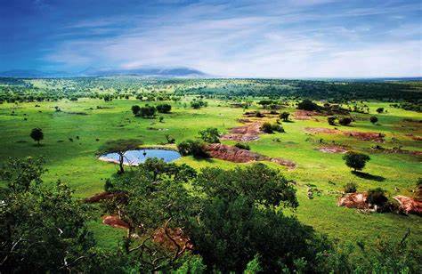 Safari grande migration sud 7 jours