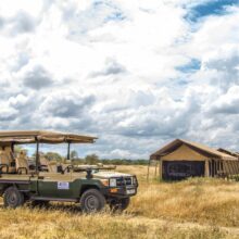 game-drives-vehicle-at