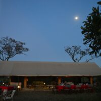gnu-mara-river-migration55