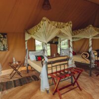 gnu-migration-camp