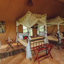 gnu-migration-camp