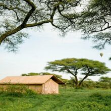 gnu-migration-camp1