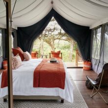 sanctuary-ngorongoro