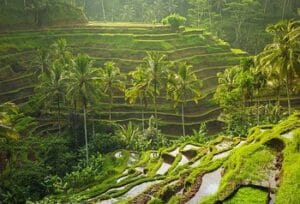 ubud voyage halal muslim friendly noussouki travel