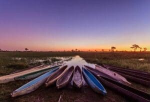 chobe park national safari animaux séjour halal famille noussouki travel