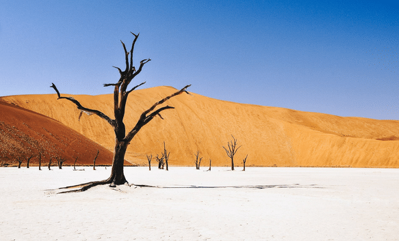 Séjour de la Namibie aux Chutes Victoria 15 jours