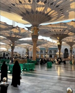 Snapinsta.app_459570142_3729008420745838_1325577509283870779_n_1080