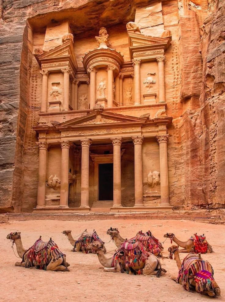 Jordanie culturel & Islamique 4*
